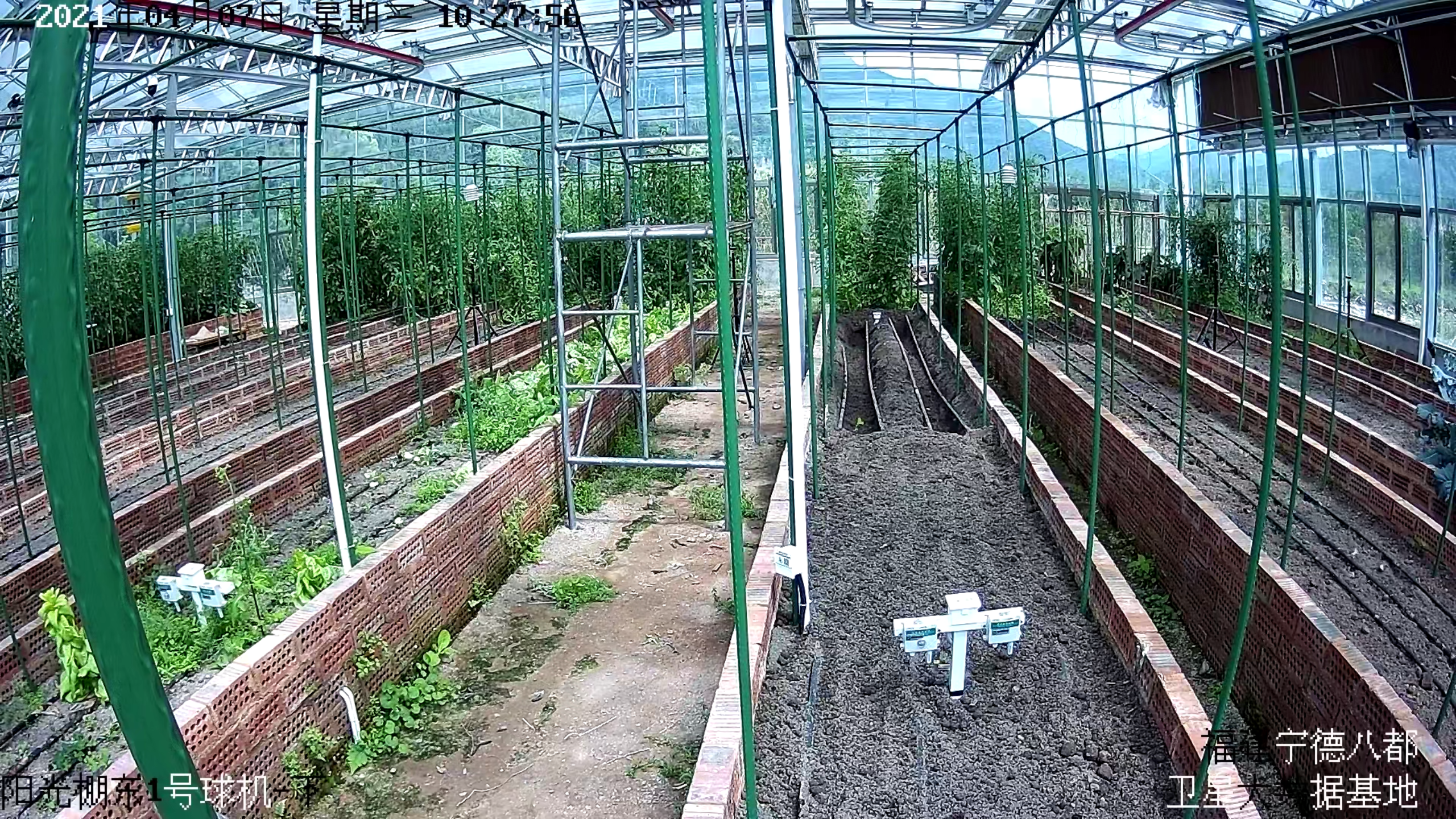 ��Ӯ��(VWIN)�ٷ���վ-AC�����ٷ�����ͬ��