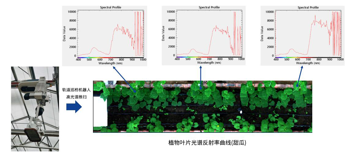 undefined 1726647268720.jpg