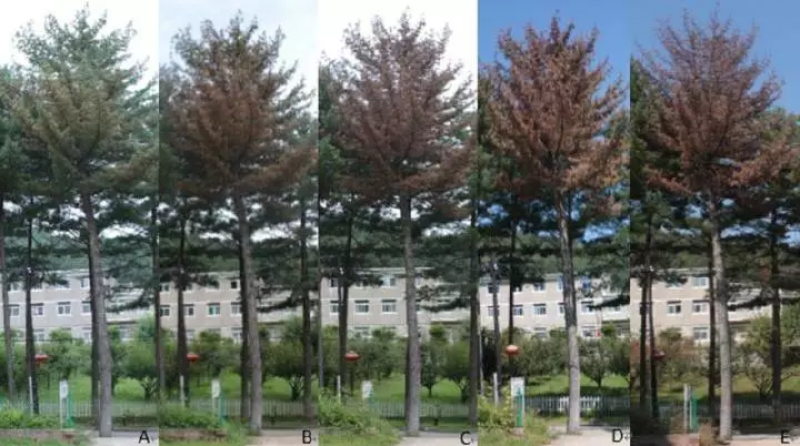 ��Ӯ��(VWIN)�ٷ���վ-AC�����ٷ�����ͬ��